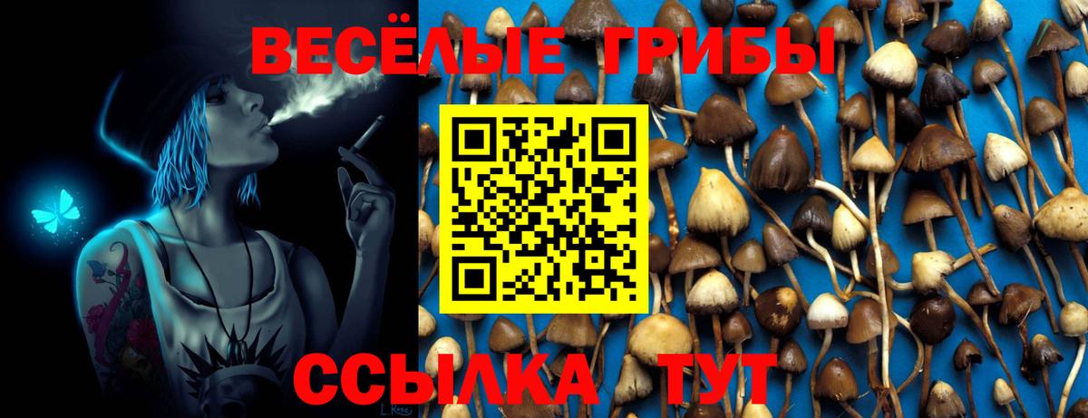 Галлюциногенные грибы GOLDEN TEACHER  Вход с VPN  Семёнов 